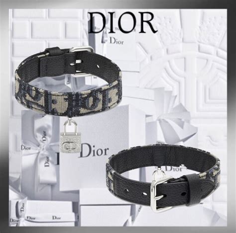 dior cat clothes|Dior dog accessories for men.